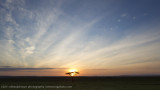 132-Sunrise Sky.jpg