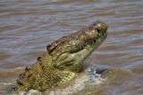 160-Last Bite.jpg