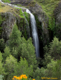 Lower Ravine Falls