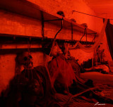 Fort Fright 8495