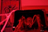 Fort Fright 8546