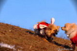 Jan24_08_341.jpg