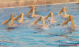 Queens Synchronized Swimming 08374 copy.jpg