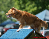 The Agility Connection 05708 copy.jpg