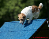 The Agility Connection 05718 copy.jpg