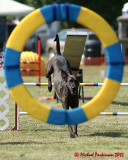 The Agility Connection 05732 copy.jpg