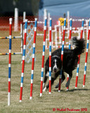 The Agility Connection 05778 copy.jpg