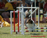 The Agility Connection 05837 copy.jpg