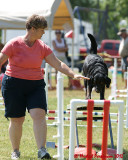 The Agility Connection 05844 copy.jpg