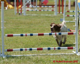 The Agility Connection 05856 copy.jpg