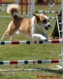 The Agility Connection 05878 copy.jpg