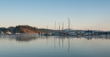 Morning sun on Heriot Island