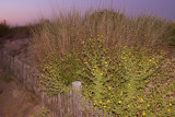 b64.jpg