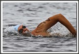 _MG_2227 12 a