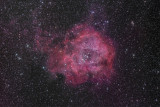 Rosette Nebula