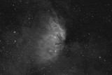 Tulip Nebula