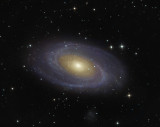 M 81