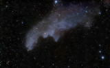 Witch Head Nebula - IC 2118