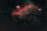 Seagull Nebula - IC 2177