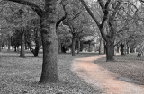 Castlemaine botanical gardens 25.jpg