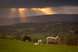 20120504 - A Few Slivers of Sun