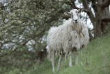 20120603 - Slant