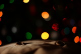 20071222 - Cushy