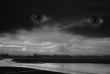 20080117 - TITTC: The Eyes Have It