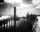 Fence & Clouds