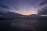 IMGP9303.jpg