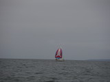PICT0873.JPG