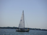 PICT0094.JPG