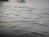 PICT0049.JPG