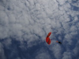 PICT0061.JPG