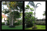 HUA HIN HOUSE 2011