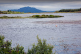 IMG_9084-Loch-Peallach.jpg