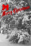 To All