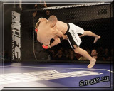 MMA - Superfight Australia  March 2012