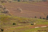Mt. Bental - Golan Heights 040.jpg