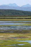 Ulcinjske soline - Ulcinj salt pans