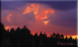 A Sunset In Algonquin Provincial Park