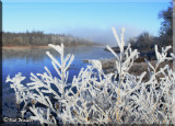 Hoar Frost In The Adirondack Park