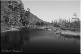 Oxbow Lake Outlet