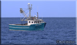 Loboster Fishing Is A Major Industry