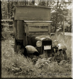 The Hermits Camper