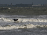 Surfer on the beach of Breskens