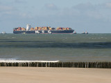 stranded container ship with tugs