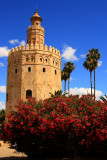 Golden Tower Seville.JPG