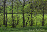 Lake District 23.jpg
