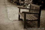 A bench in Japanese Gardens, Ireland
